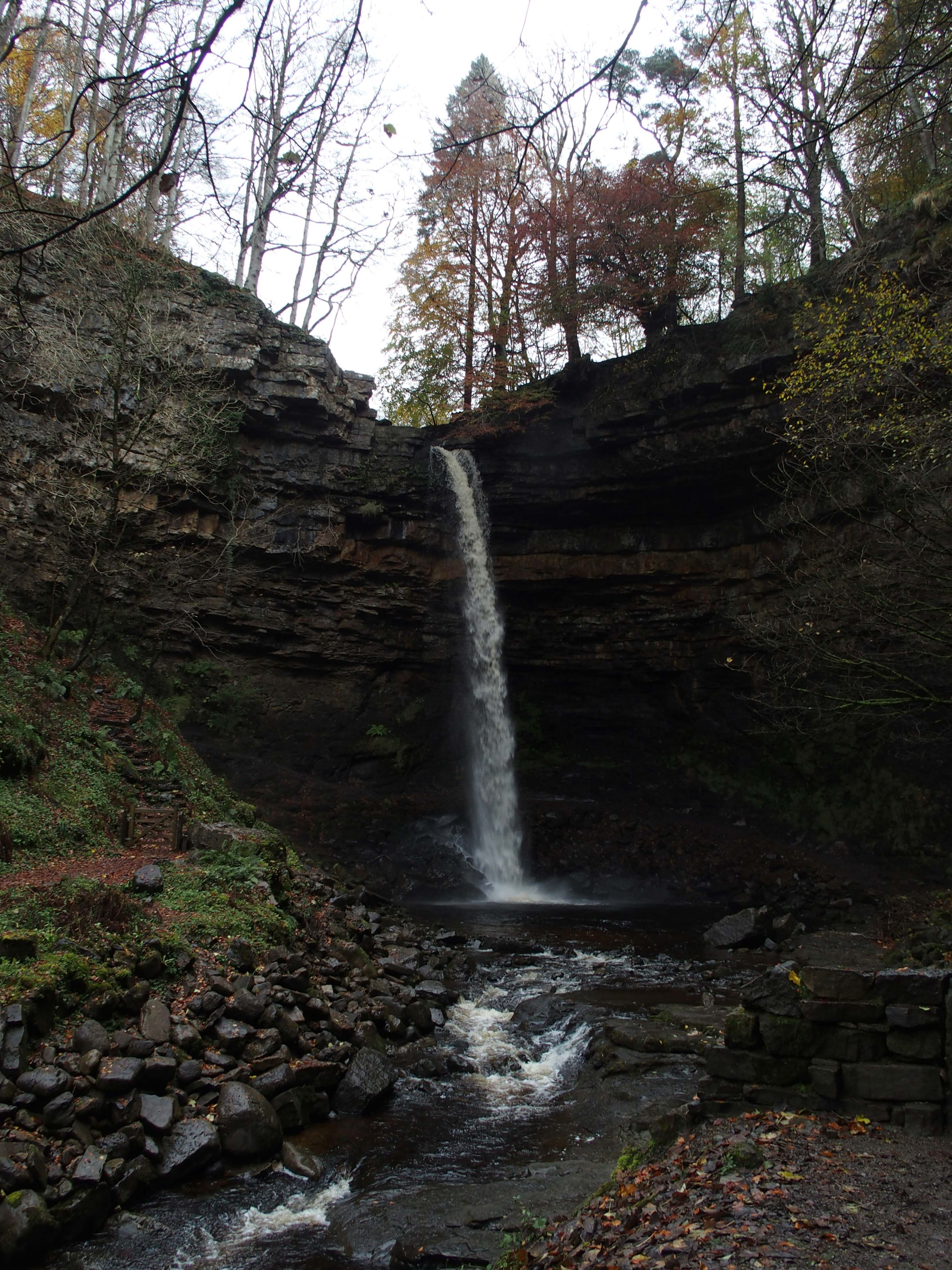 Hardraw Force